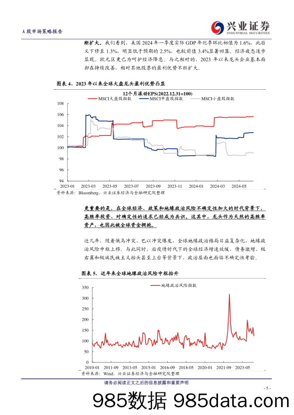 放眼全球，都是龙头、好公司在跑赢-240615-兴业证券插图4