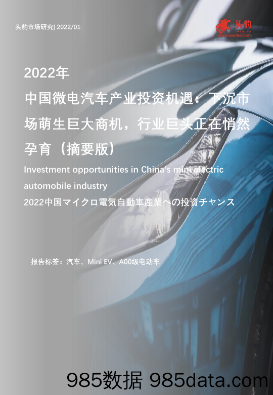 2022年中国微电汽车产业投资机遇：下沉市场萌生巨大商机，行业巨头正在悄然孕育（摘要版）_头豹研究院