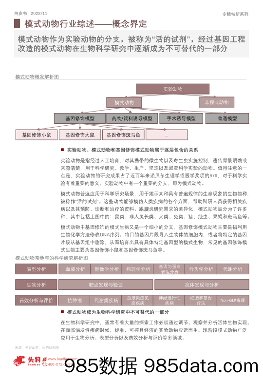 2022年中国专精特新系列研究报告：模式动物行业——供需共振的“活试剂”（摘要版）_头豹研究院插图2