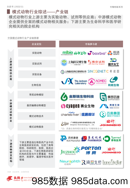 2022年中国专精特新系列研究报告：模式动物行业——供需共振的“活试剂”（摘要版）_头豹研究院插图4