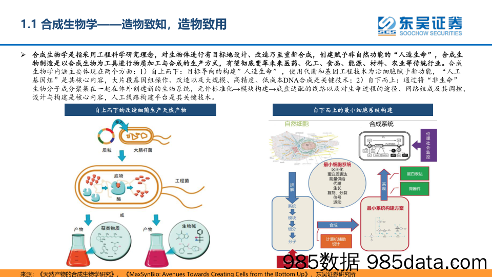 合成生物学深度报告：合聚万物，成致未来_东吴证券插图4