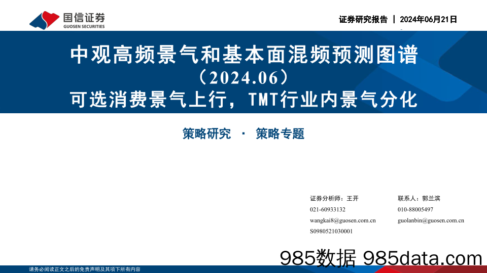 中观高频景气和基本面混频预测图谱(2024.06)：可选消费景气上行，TMT行业内景气分化-240621-国信证券