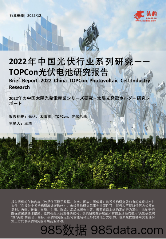 2022年中国光伏行业系列研究：TOPCon光伏电池研究报告_头豹研究院