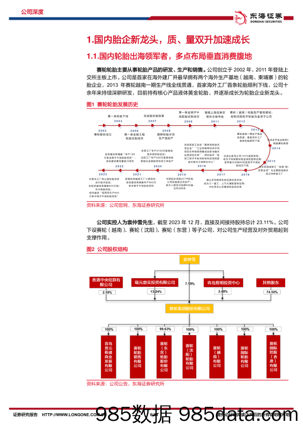 赛轮轮胎-601058.SH-公司深度报告：重研发深耕耘，全球化广布局-20240604-东海证券插图5