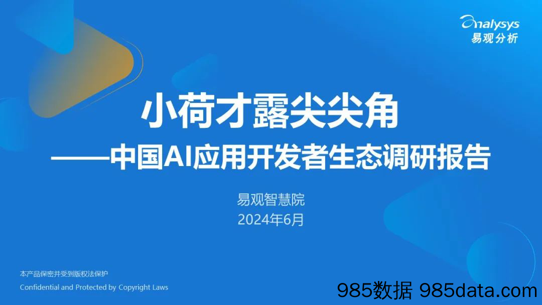 中国AI应用开发者生态调研报告