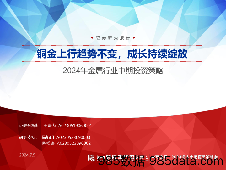 2024年金属行业中期投资策略：铜金上行趋势不变，成长持续绽放-240705-申万宏源