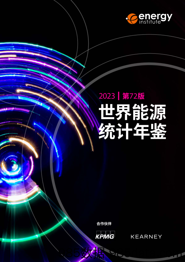 世界能源统计年鉴2023（中文版）