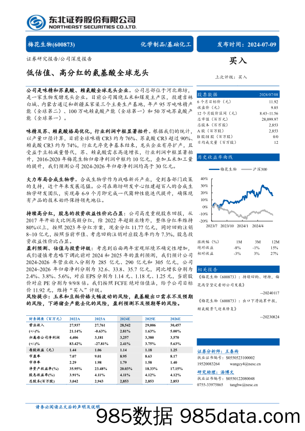 梅花生物(600873)低估值、高分红的氨基酸全球龙头-240709-东北证券插图