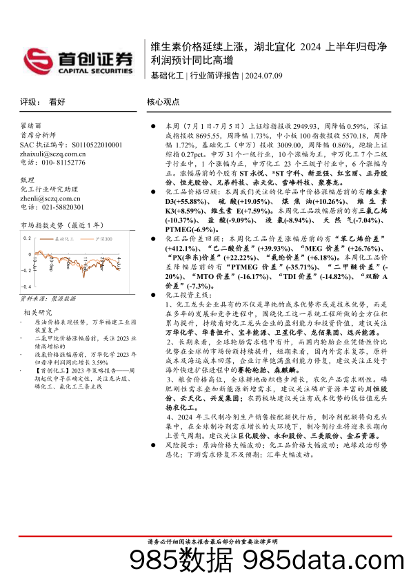 基础化工行业简评报告：维生素价格延续上涨，湖北宜化2024上半年归母净利润预计同比高增-240709-首创证券