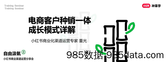 2024小红书电商客户种销一体成长模式详解-小红书