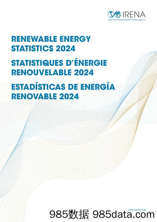 全球可再生能源统计年鉴2024（英）