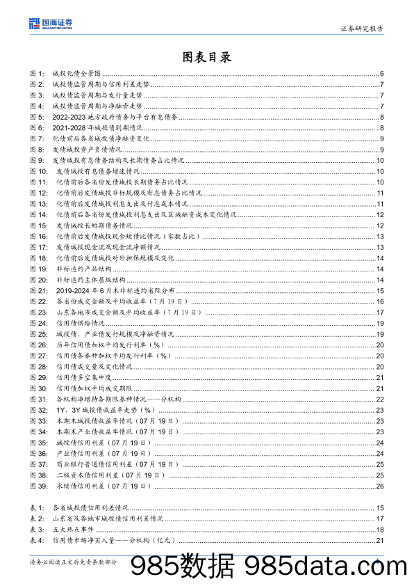 债券研究：化债一年成效几何？-240724-国海证券插图3