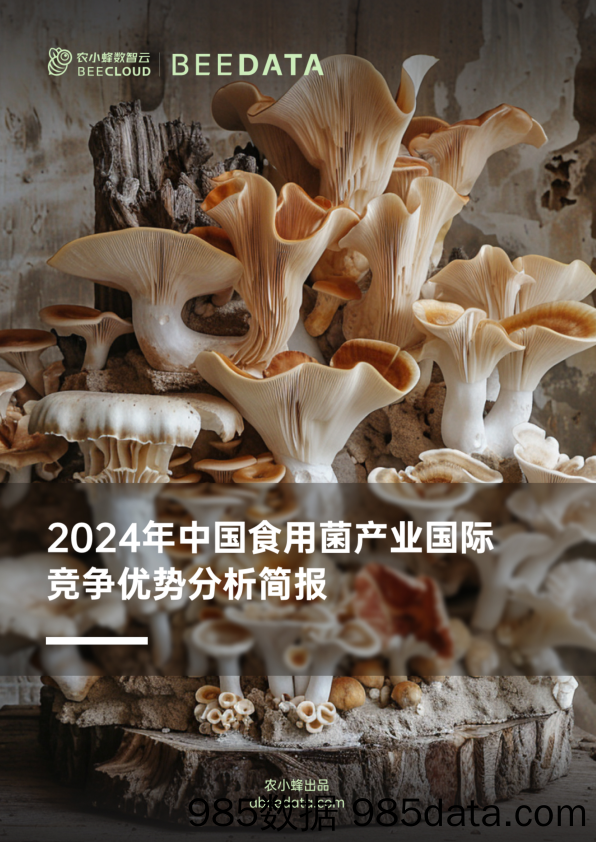 农小蜂-2024年中国食用菌产业国际竞争优势分析简报