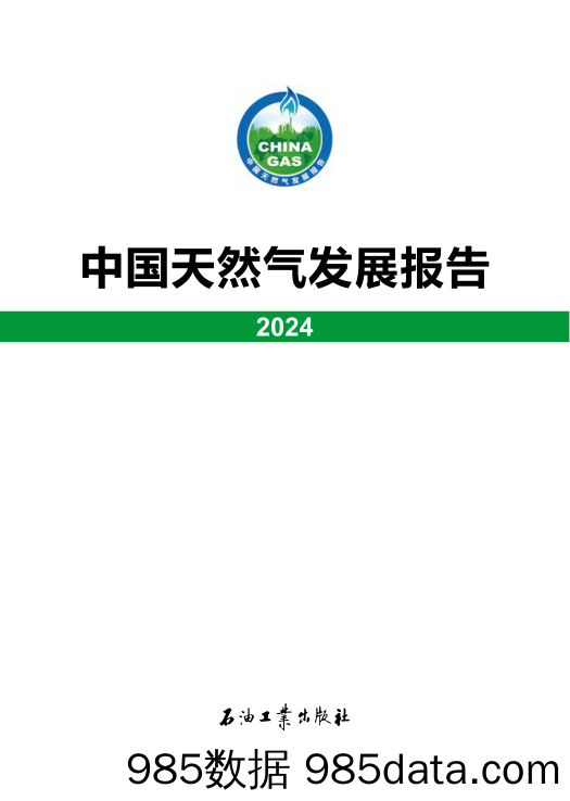 国家能源局《中国天然气发展报告（2024）》