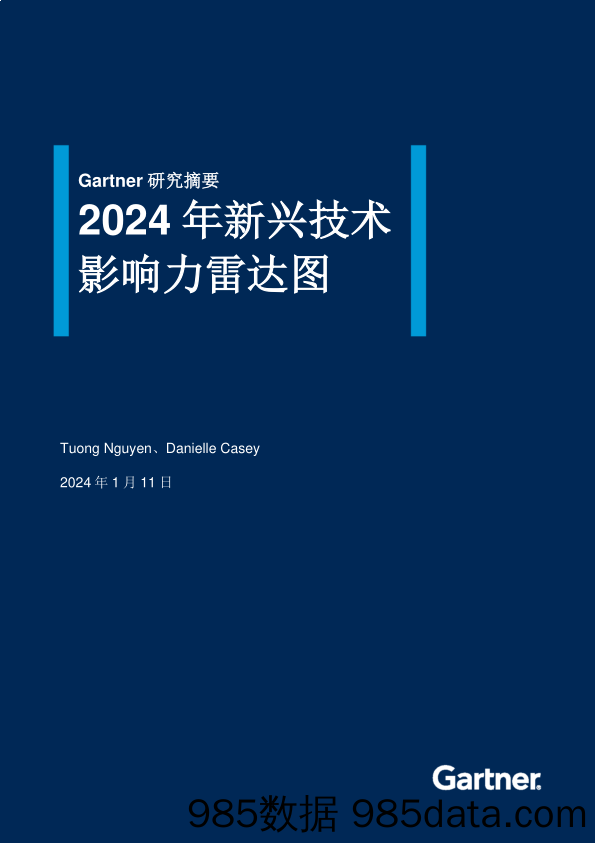 2024年新兴技术影响力雷达图