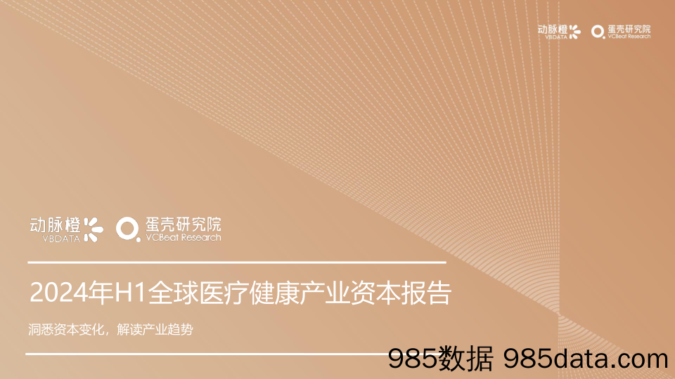 2024年H1全球医疗健康投融资报告