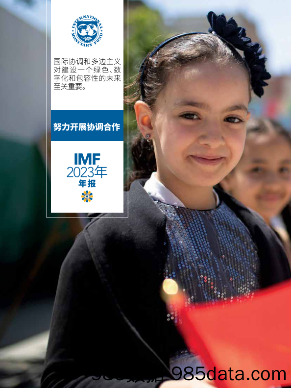 Chinese 2023 IMF 努力开展协调合作