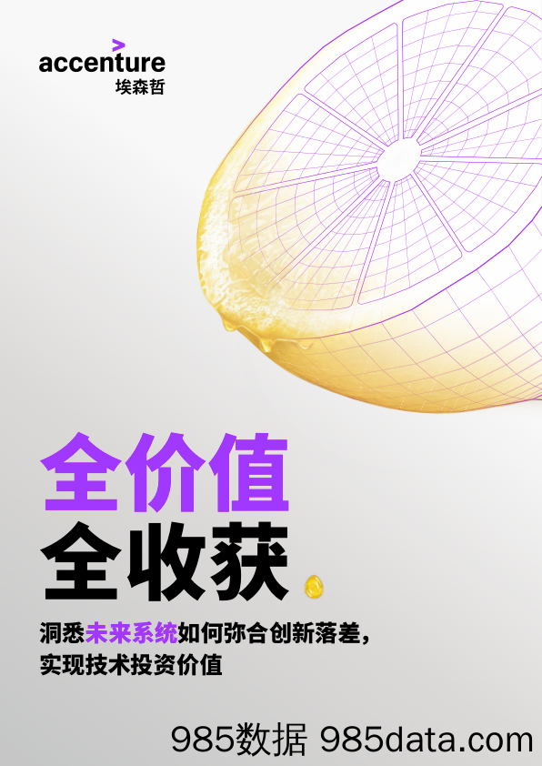 埃森哲-全价值全收获：洞察未来系统-2019.12