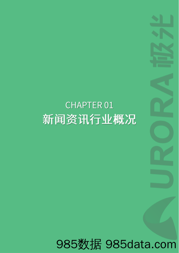 极光大数据-千人千面，新闻资讯类app如何成功突围？-2019.11插图2