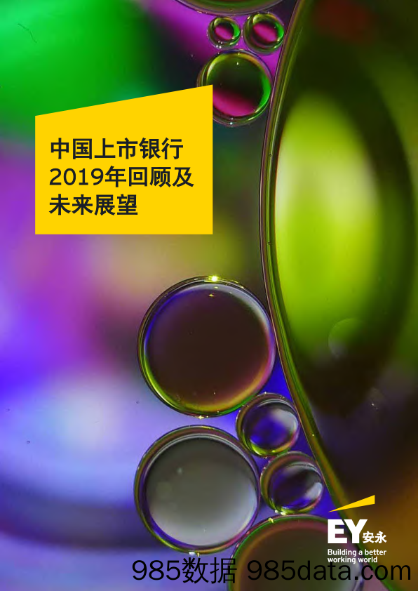 【金融银行债券-研报】安永-中国上市银行2019年回顾及未来展望-2020.5.20