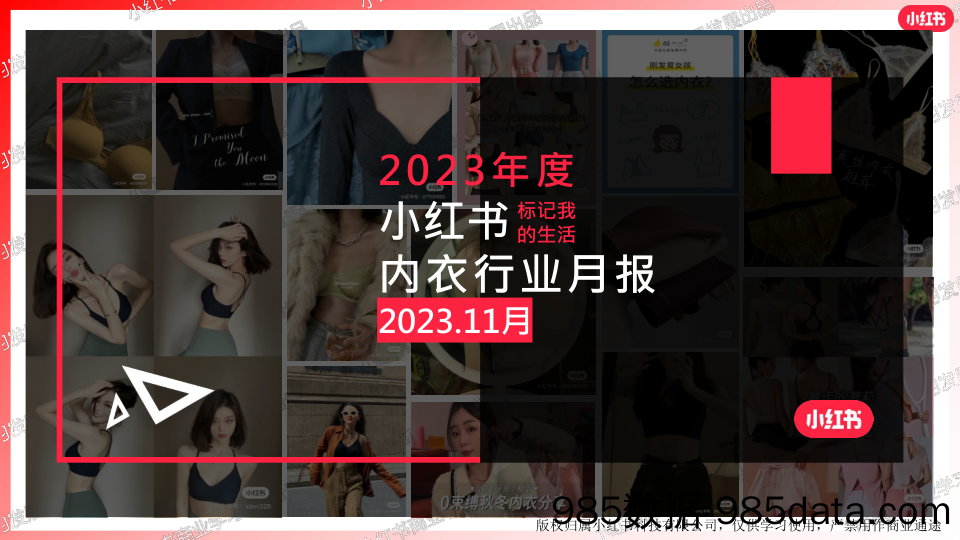 【小红书报告】小红书2023年内衣行业月报-11月