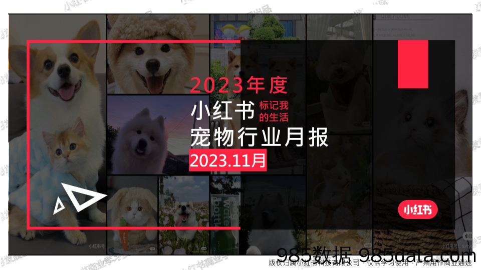 【小红书报告】小红书2023年宠物行业月报-11月-202311