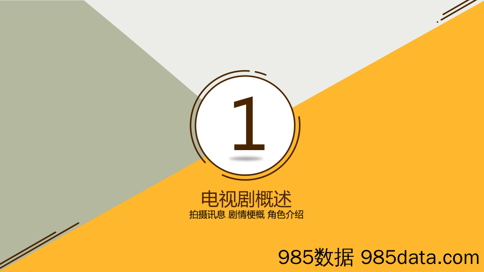 【最新招商】2019正午阳光《都挺好》项目招商方案插图2