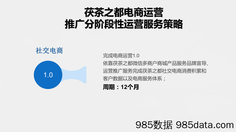 【双微策划】2019茯茶之都微信平台电商运营方案插图4