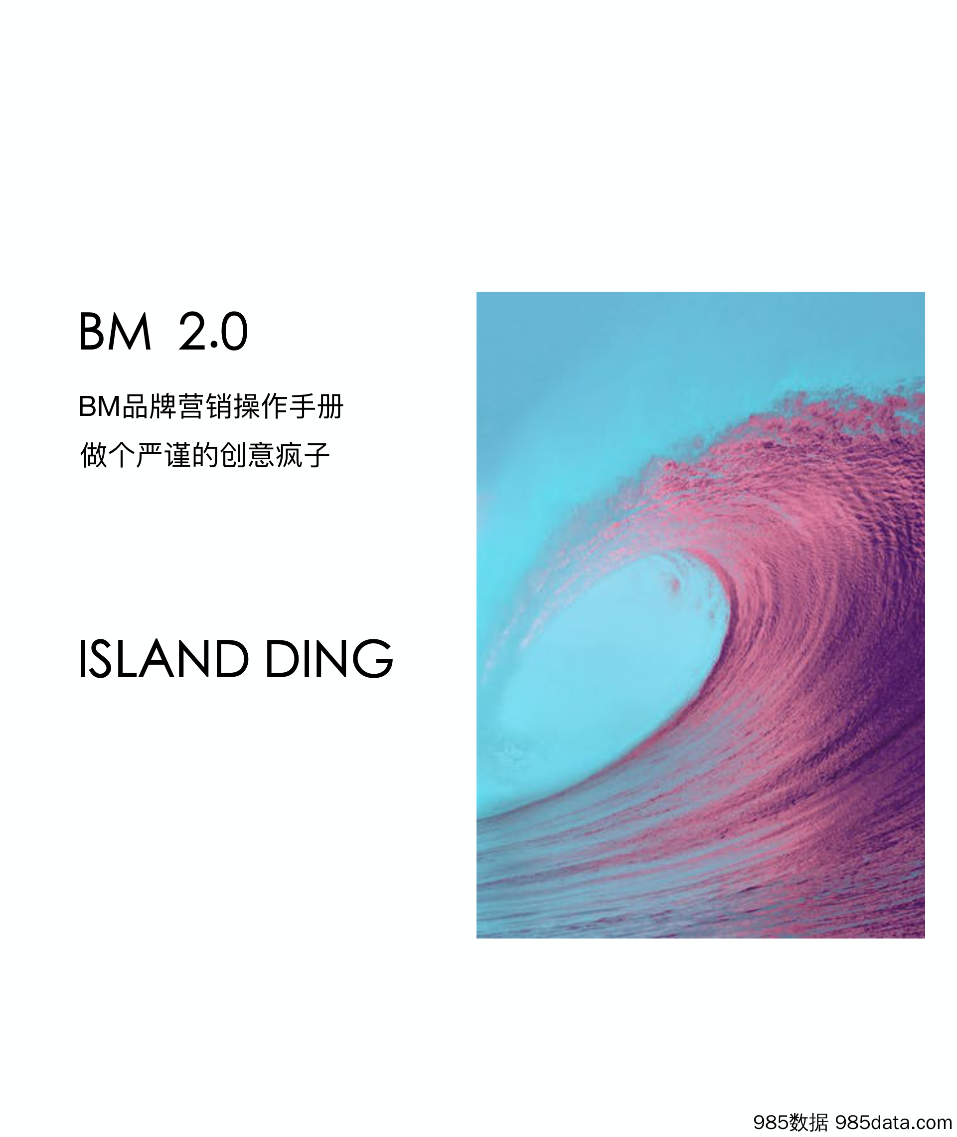 【品牌营销案例】bm2.0 品牌营销手册