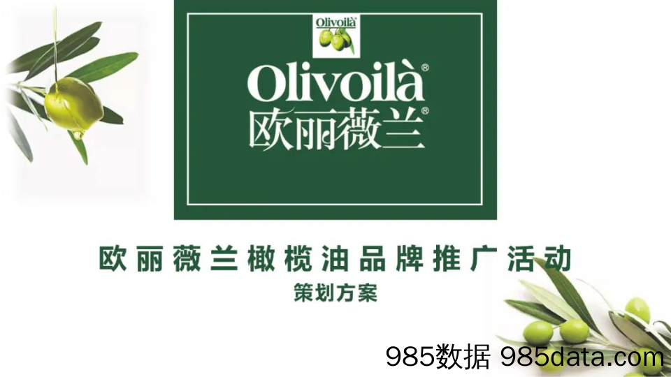 【营销案例】20200415-2019百货欧丽薇兰橄榄油品牌地推暖场活动策划案