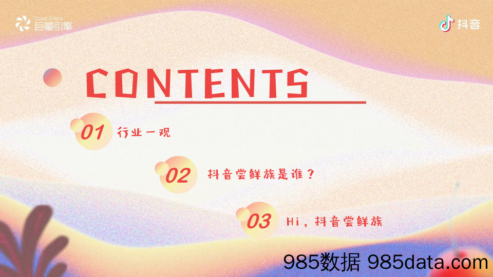 【抖音研报】2020巨量引擎-“鲜”声夺人——抖音尝鲜族人群报告-2020.7插图2