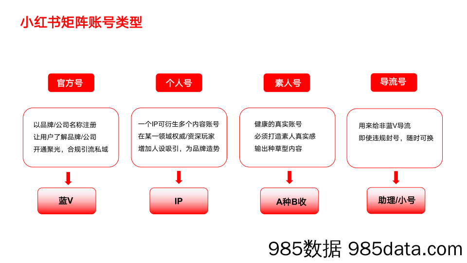 【互联网通案】小红书实操课件插图3