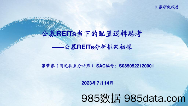 战略看多半导体：从“新半军”到“半新军”-20230713-兴业证券