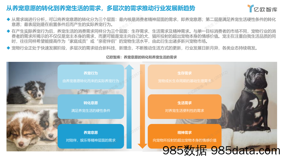 2023中国宠物行业新趋势洞察 – 0718插图5