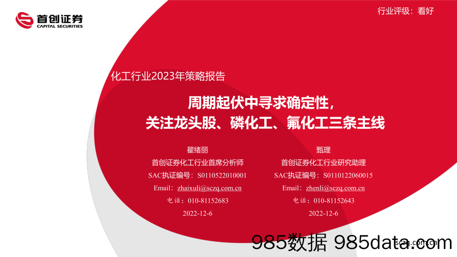 化工行业2023年策略报告：周期起伏中寻求确定性，关注龙头股、磷化工、氟化工三条主线-20221206-首创证券