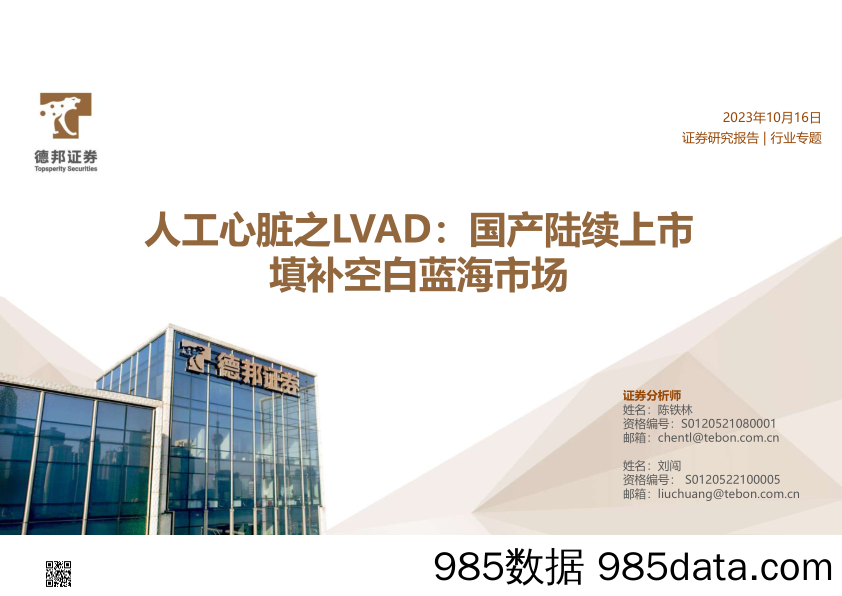 人工心脏行业之LVAD：国产陆续上市，填补空白蓝海市场-20231016-德邦证券