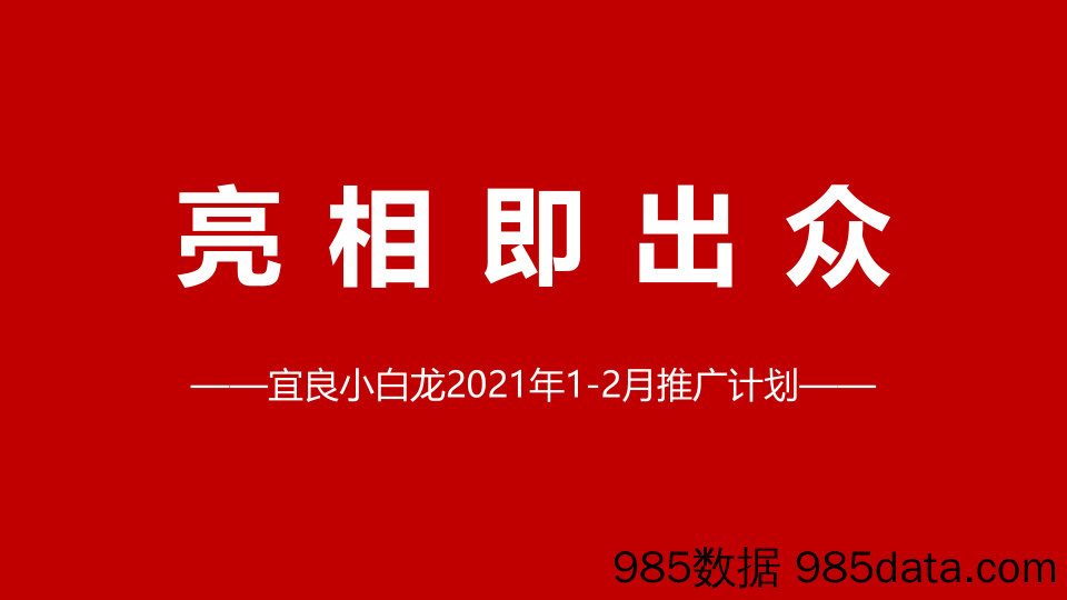 【文旅营销案例】宜良小白龙文旅推广方案插图3