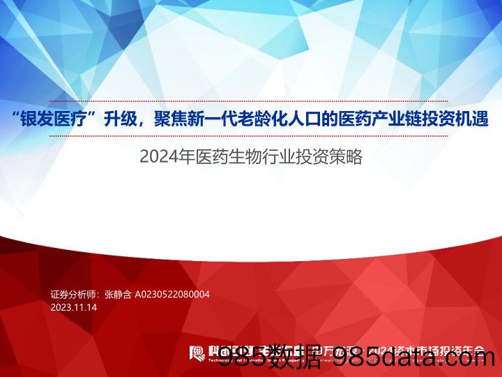 2024资本市场投资年会_2024年医药生物行业投资策略：“银发医疗”升级，聚焦新一代老龄化人口的医药产业链投资机遇-20231114-申万宏源