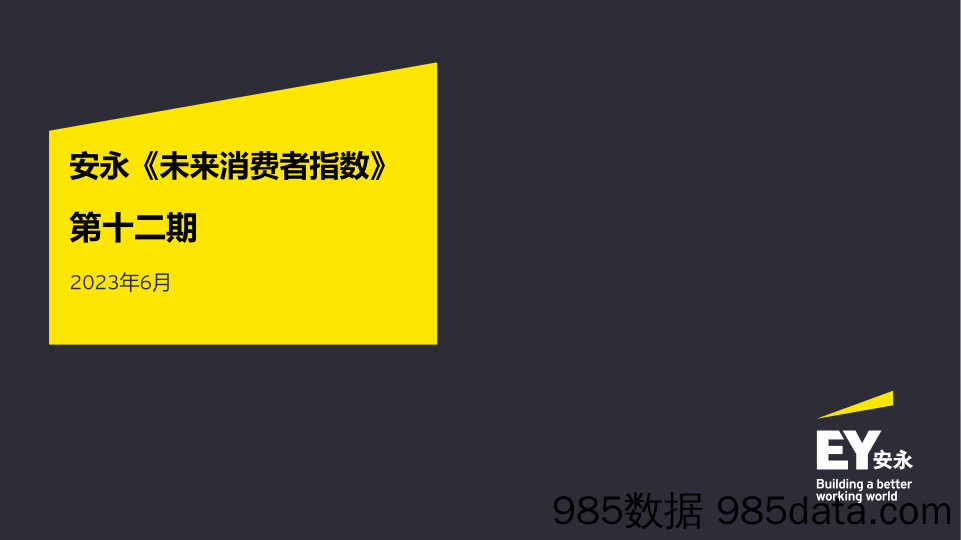 EY+未来消费者指数（第十二期）