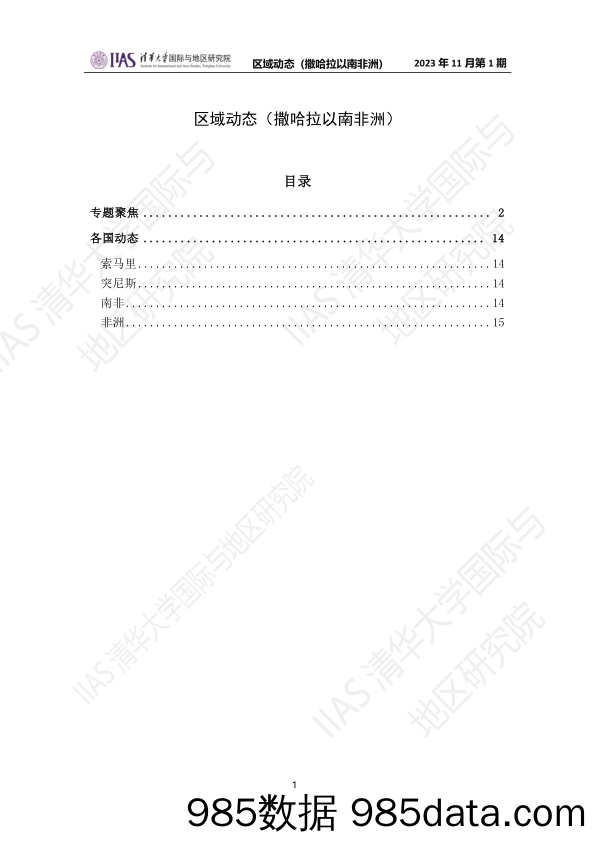 2023年11月第一期《区域动态》撒哈拉以南非洲地区