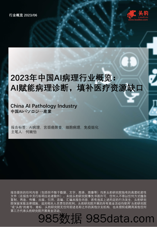 2023年中国AI病理行业概览：+AI赋能病理诊断，填补医疗资源缺口