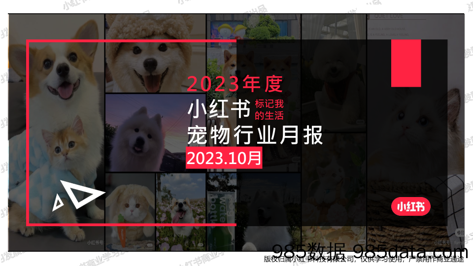 小红书2023年宠物行业月报-10月