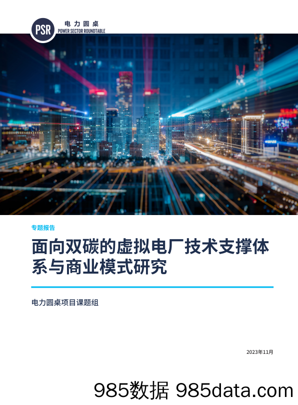 自然资源保护协会-面向双碳的虚拟电厂技术支撑体系与商业模式研究