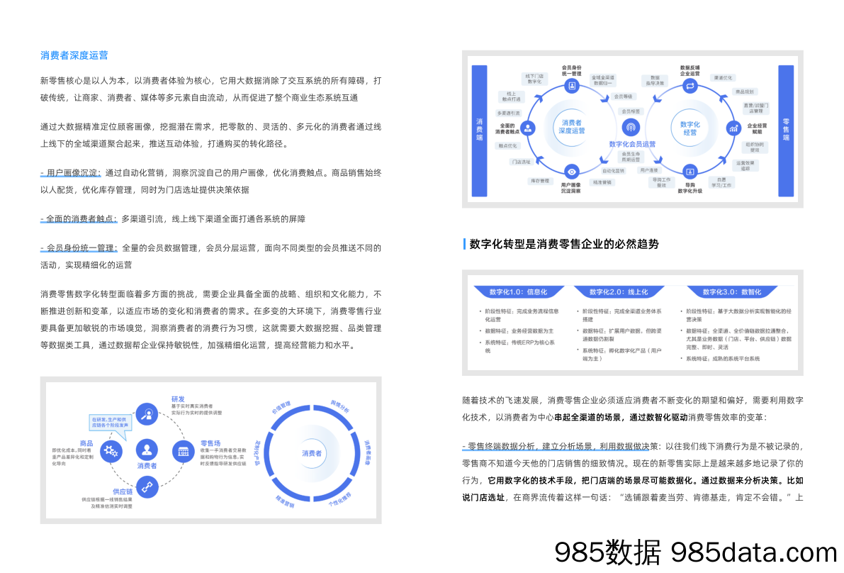 帆软消费零售行业案例集插图3