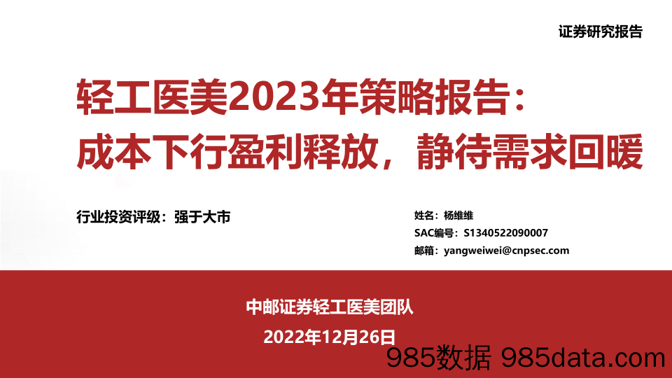 轻工医美行业2023年策略报告：成本下行盈利释放，静待需求回暖-20221226-中邮证券