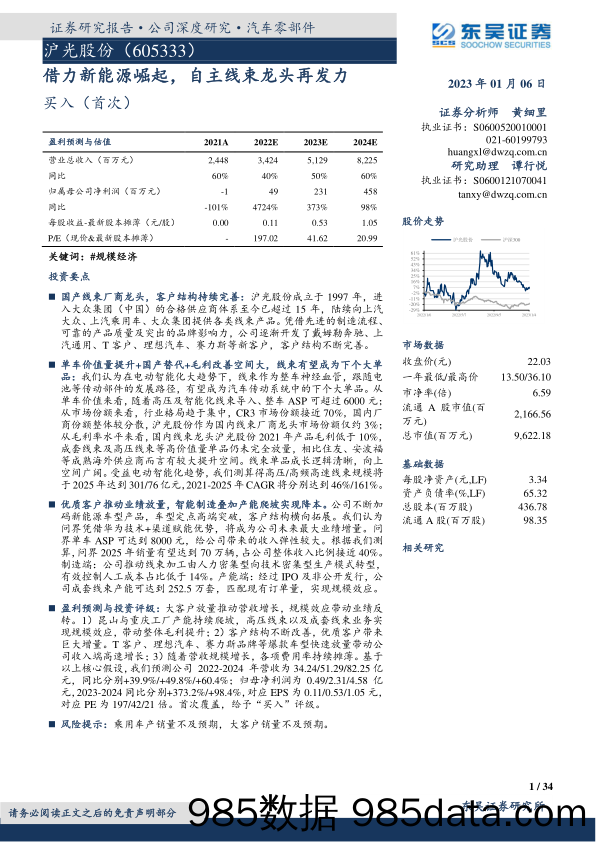 借力新能源崛起，自主线束龙头再发力-20230106-东吴证券