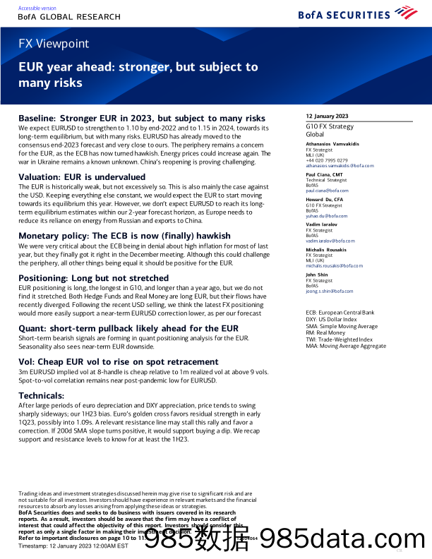 BofA Global Research-FX Viewpoint EUR year ahead stronger, but subject to many