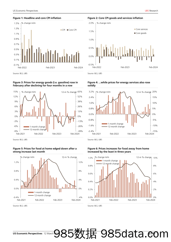 UBS Economics-US Economic Perspectives _February CPI recap Strong, but st…-106992239插图2