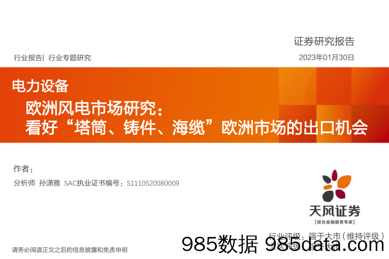 电力设备行业欧洲风电市场研究：看好“塔筒、铸件、海缆”欧洲市场的出口机会-20230130-天风证券