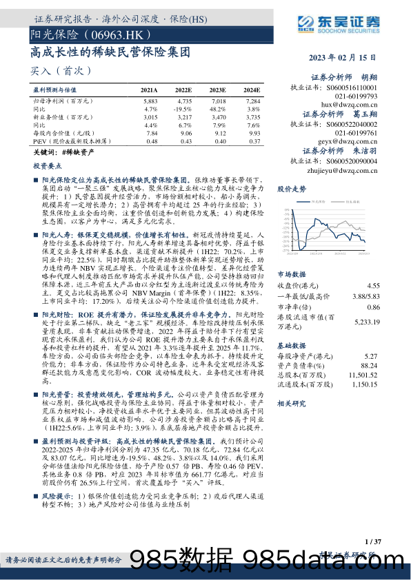 阳光保险（06963）高成长性的稀缺民营保险集团-20230215-东吴证券